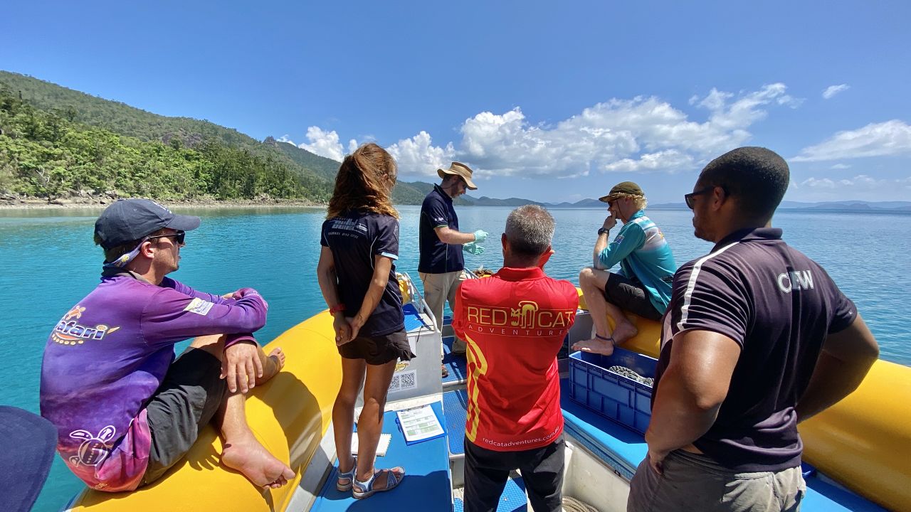 Tourism operators turn into citizen scientists to monitor reef water quality