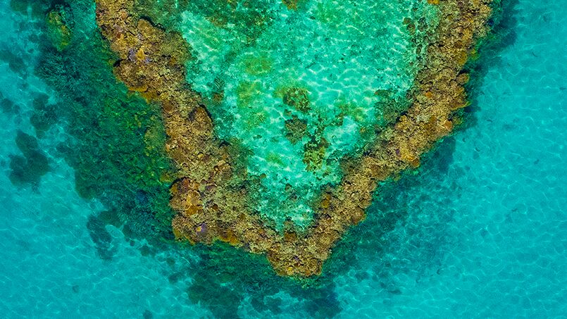 Heart Reef, Whitsundays