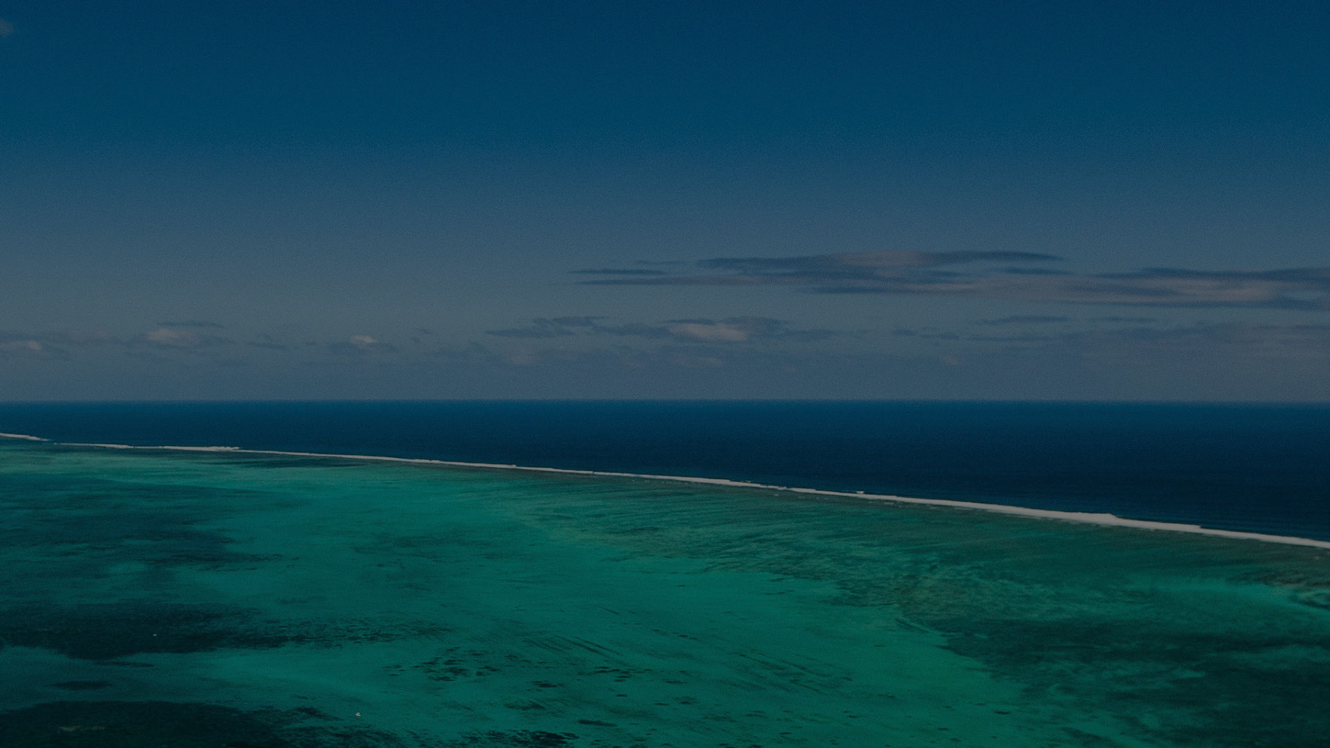 Our Global Impact Program: Resilient Reefs Initiative