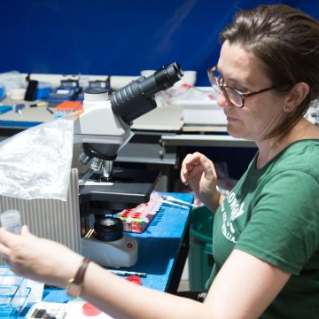 Sorting coral spawn