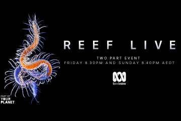 The Great Barrier Reef Foundation’s Reef-saving projects showcased live on the ABC