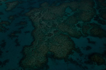 Cyclone Gretel reduces sea temperatures on Great Barrier Reef