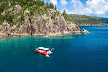 Whitsunday tourism operators upskill to help restore local reefs